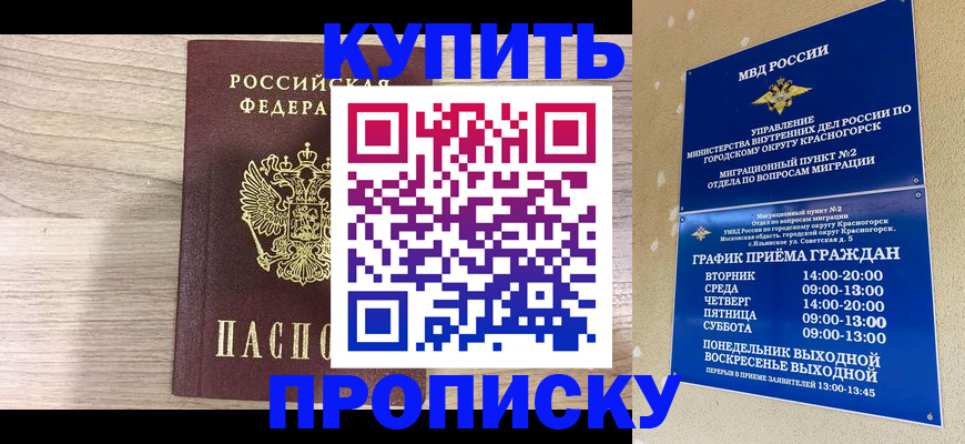 прописка 2025 в Дятьково